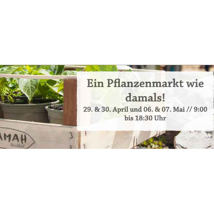 Plakat Adamah Jungpflanzenmarkt 2022