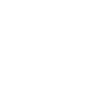 Gürtel Icon