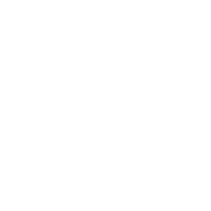 Damen Icon