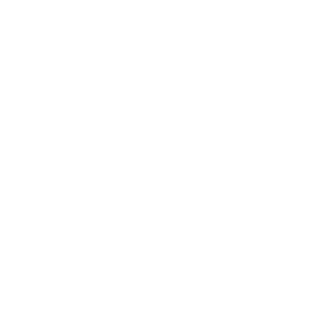 Ballon Icon