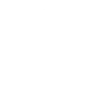Quader Icon