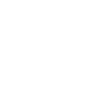 Täschchen Icon