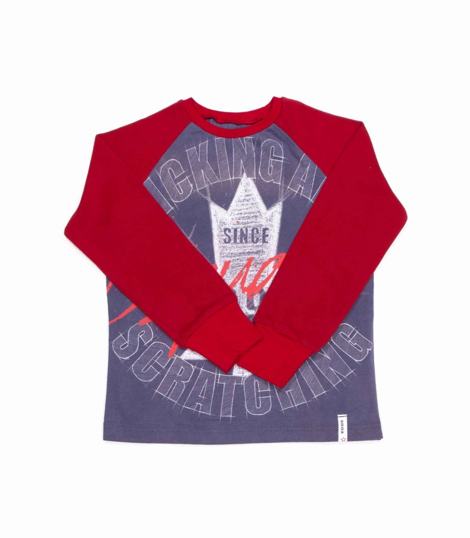 anna * pollack, T-Shirt grau mit Print mit roten Ärmeln, 104-110, Vorderansicht