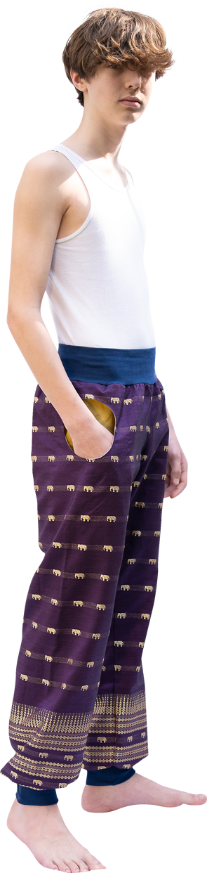 Junger Mann in Piratenhose Lila mit goldenen Elefanten und großen runden Taschen in Gold, Bündchen in Marineblau